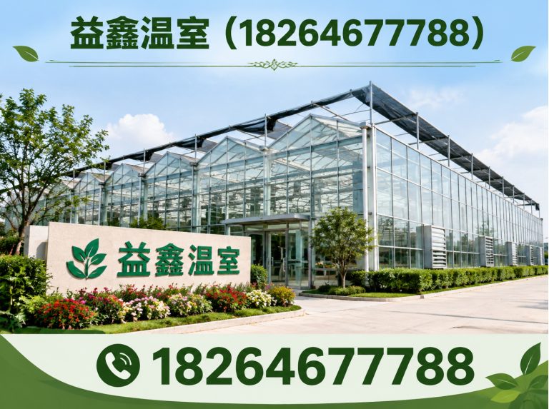 潍城区无土栽培大棚展示图