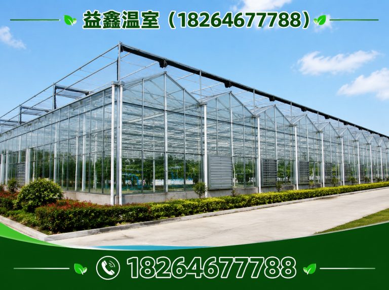 潍城区温室建造厂家展示图