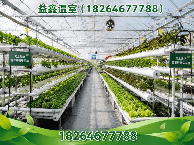 潍城区益鑫温室展示图